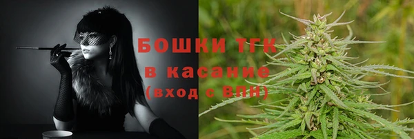 твердый Магас