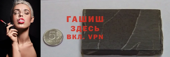 твердый Магас