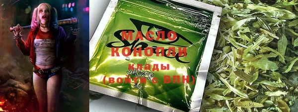 индика Лихославль