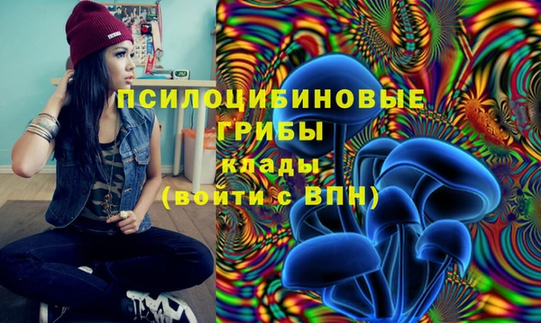 индика Лихославль