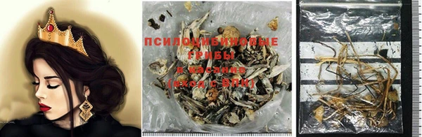 твердый Магас