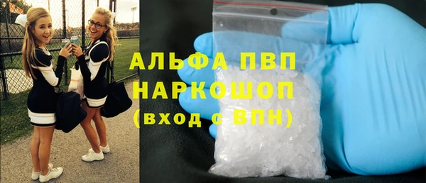 твердый Магас
